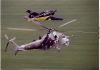 fun_pics_3_001.jpg